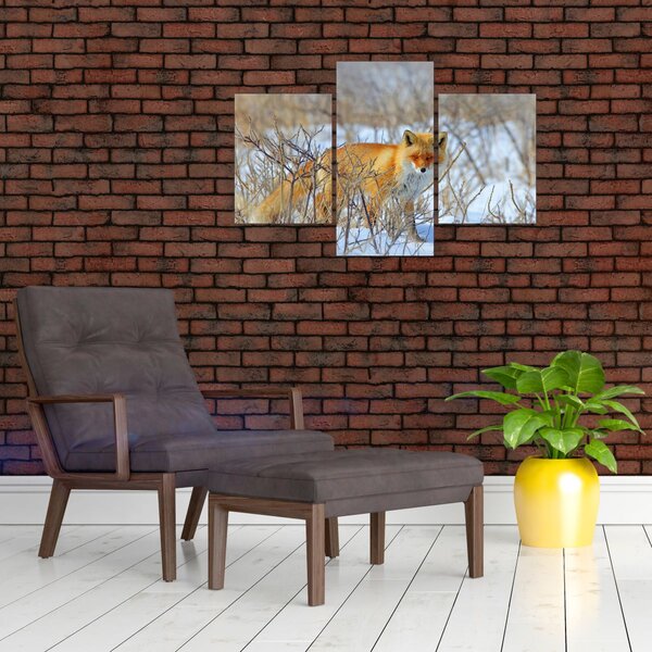 Kép - Róka (90x60 cm)