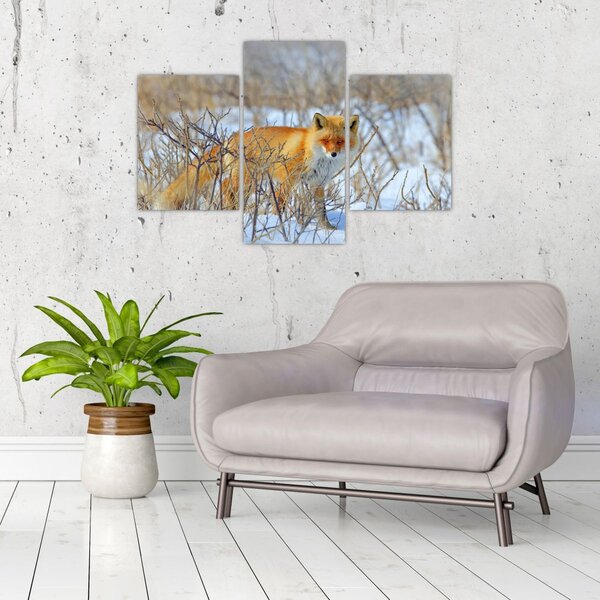 Kép - Róka (90x60 cm)