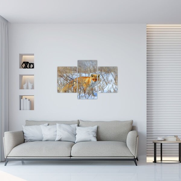 Kép - Róka (90x60 cm)