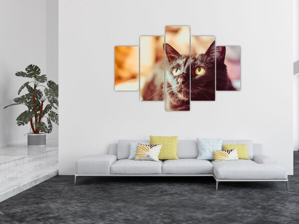 Fekete macska képe (150x105 cm)