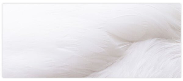 Kép - Fehér toll (120x50 cm)