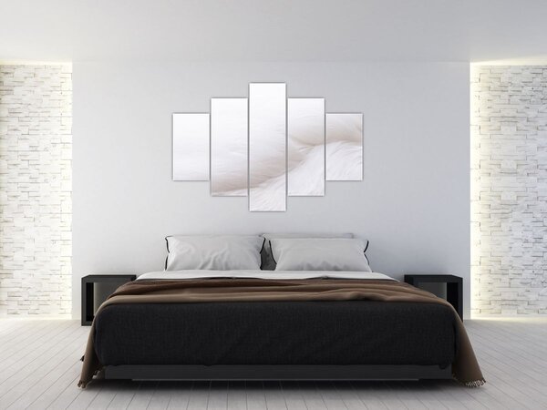 Kép - Fehér toll (150x105 cm)