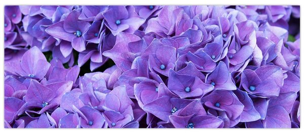 Lila virágok képe (120x50 cm)