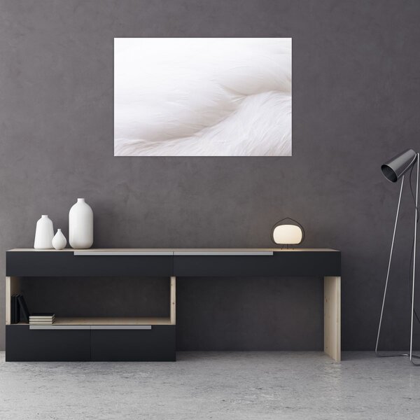 Kép - Fehér toll (90x60 cm)