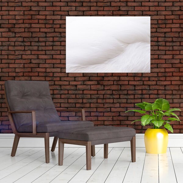 Kép - Fehér toll (90x60 cm)