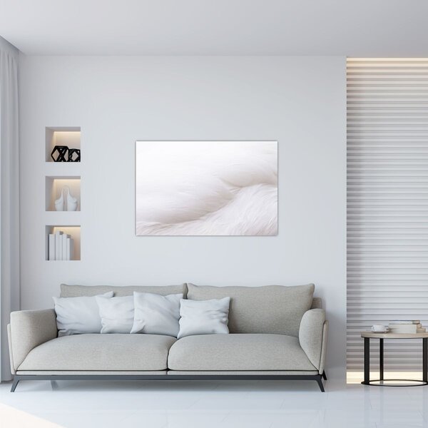 Kép - Fehér toll (90x60 cm)