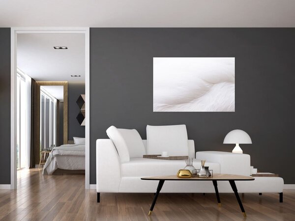 Kép - Fehér toll (90x60 cm)