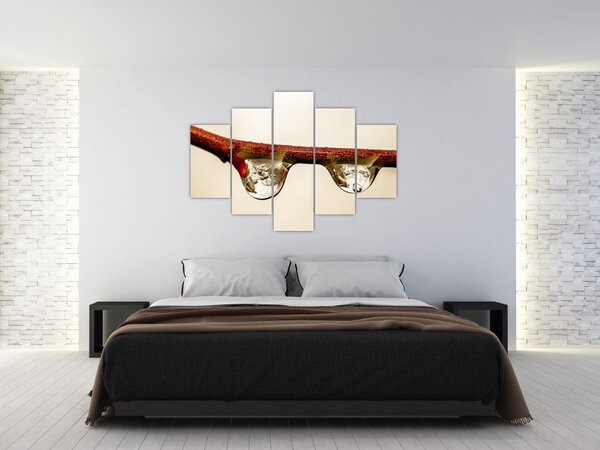 Vízcseppek a faágon képe (150x105 cm)