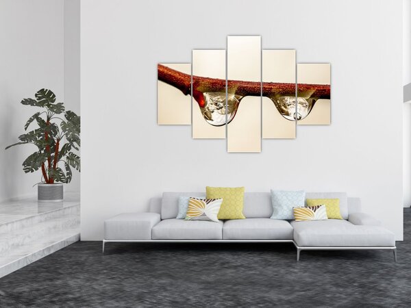 Vízcseppek a faágon képe (150x105 cm)