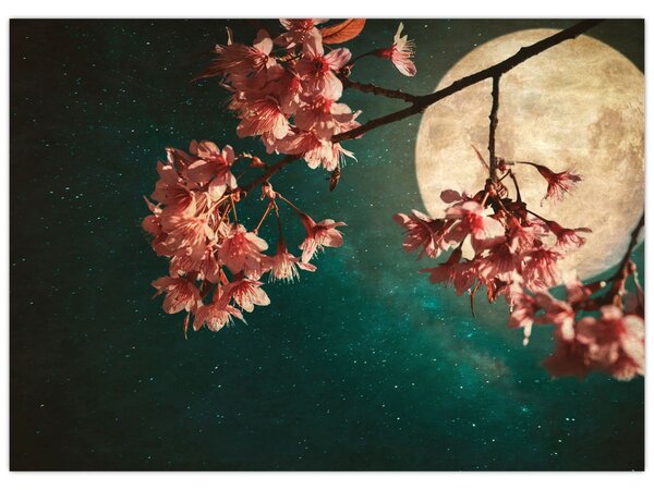 Kép - Sakura teliholdkor (70x50 cm)