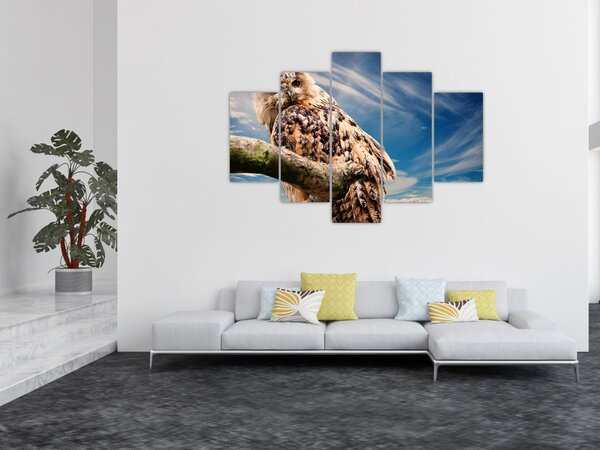 Bagoly képe (150x105 cm)