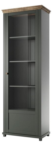 Vitrin Elvina Typ 06 (sötétzöld + lefkas tölgy) (J)