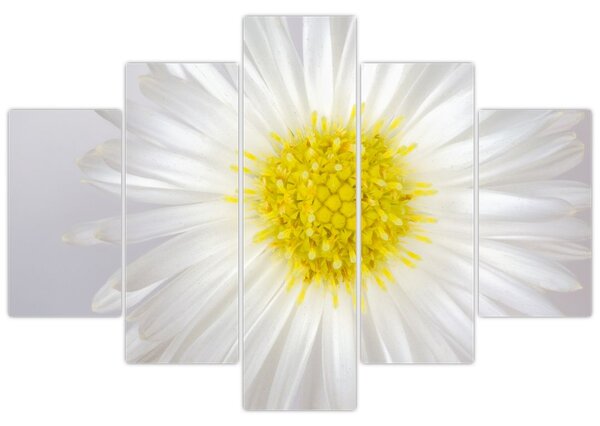 Kép - Margarita (150x105 cm)