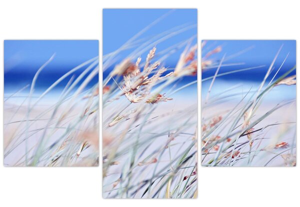 Kép - Szellő (90x60 cm)