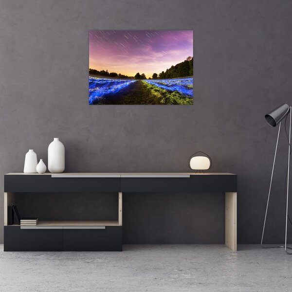 Színes mező képe (70x50 cm)