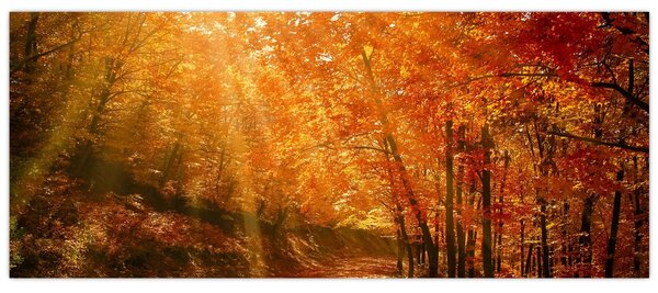 Őszi erdő képe (120x50 cm)