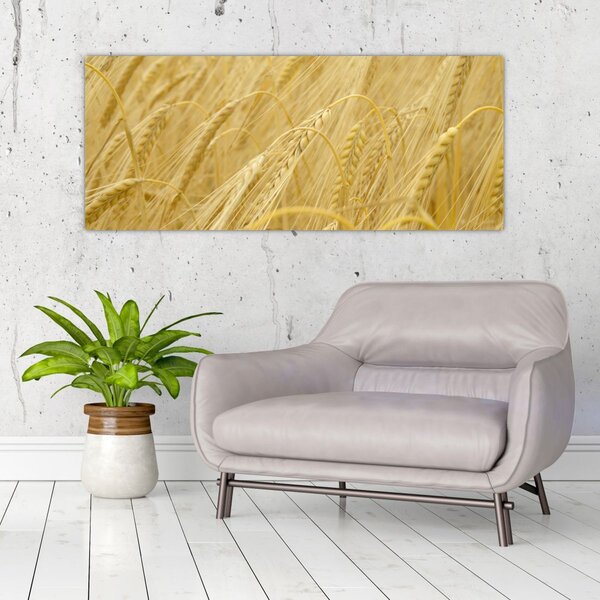 Kép - Árpa (120x50 cm)