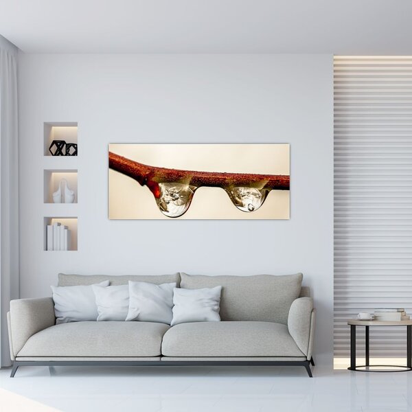 Vízcseppek a faágon képe (120x50 cm)