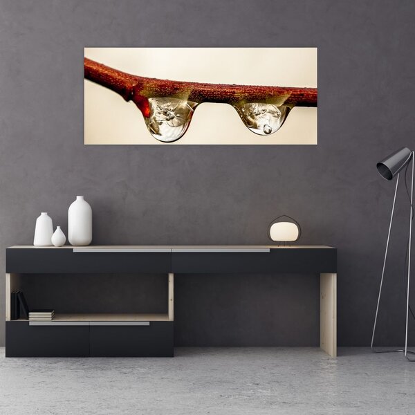Vízcseppek a faágon képe (120x50 cm)