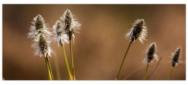 Kép - Fű (120x50 cm)