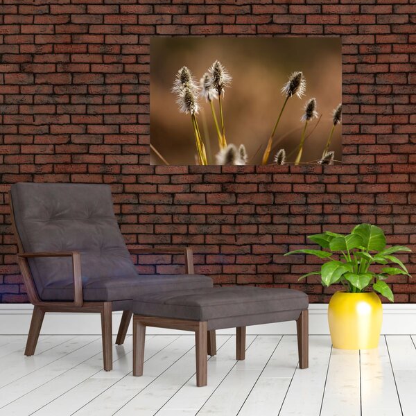 Kép - Fű (90x60 cm)