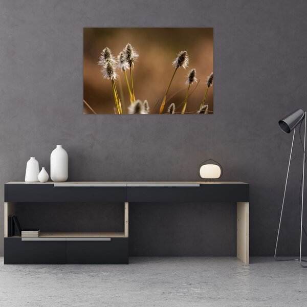 Kép - Fű (90x60 cm)
