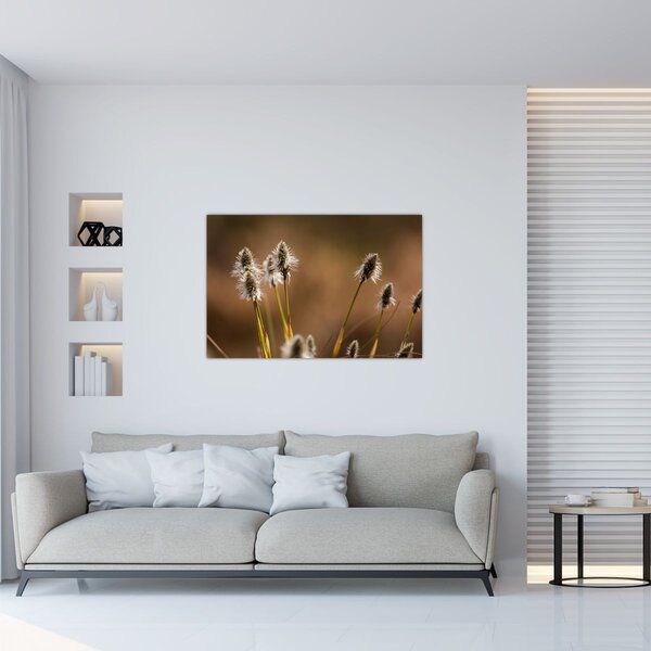 Kép - Fű (90x60 cm)