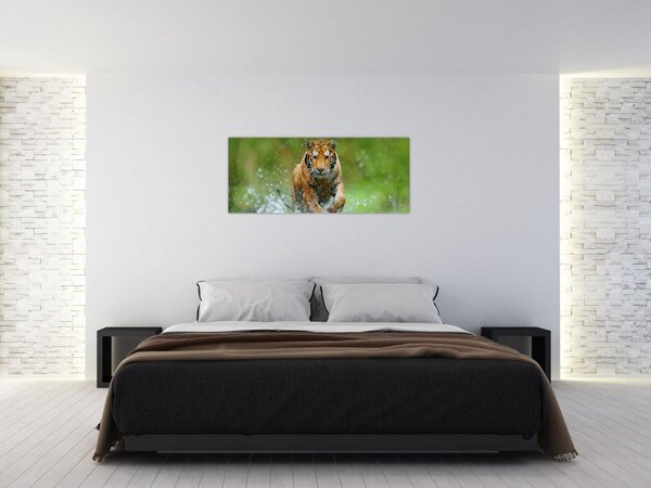 Kép - Futó tigris (120x50 cm)