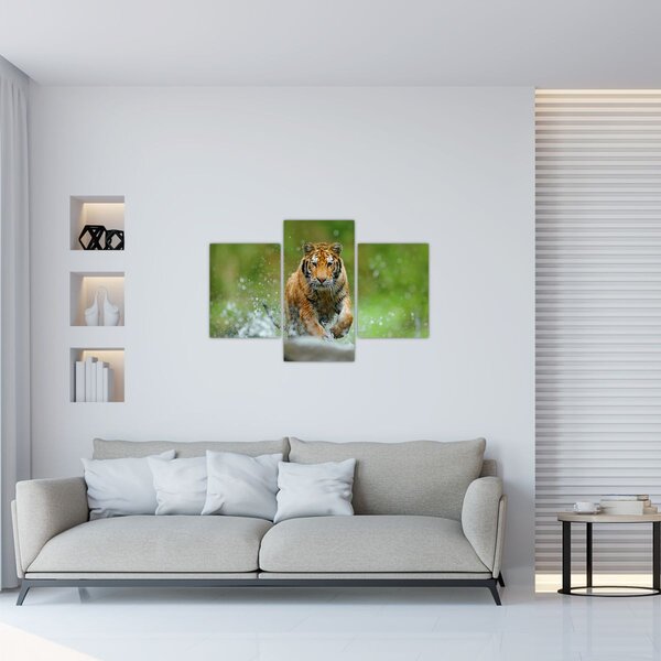 Kép - Futó tigris (90x60 cm)
