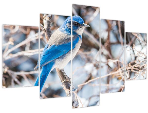 Kép - Téli madár (150x105 cm)