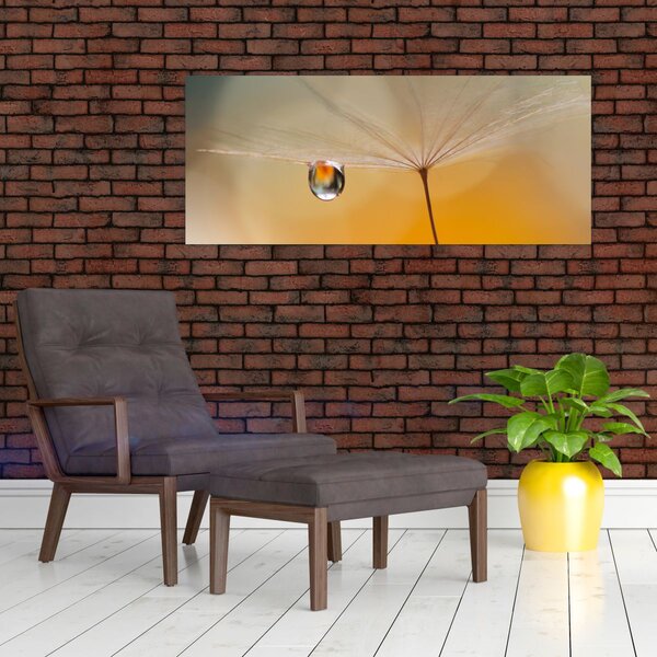 Kép - Makró virág (120x50 cm)
