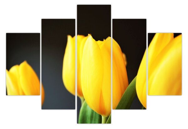 Tulipán képe (150x105 cm)