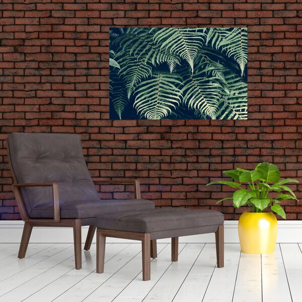 A páfrány levelek képe (90x60 cm)