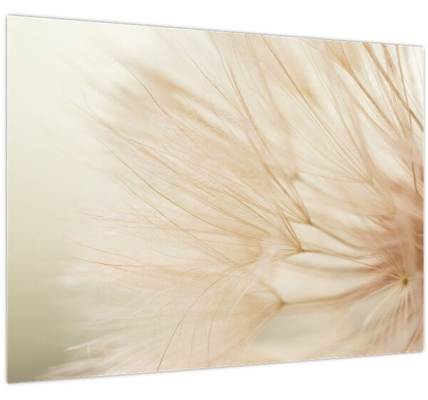 Kép - Virág részletek (70x50 cm)