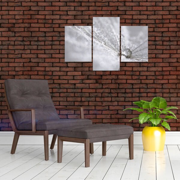 Kép - Egy csepp víz (90x60 cm)