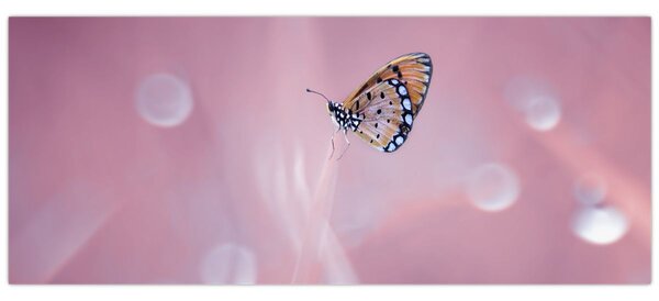 Kép - Pillangó (120x50 cm)
