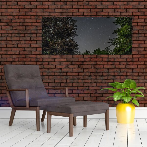 Éjszakai égbolt képe (120x50 cm)