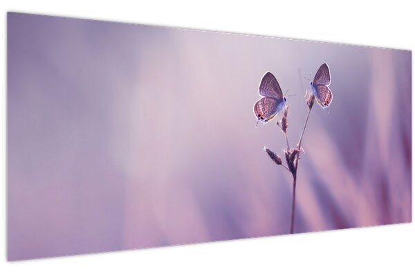 Kép - Lila pillangók (120x50 cm)