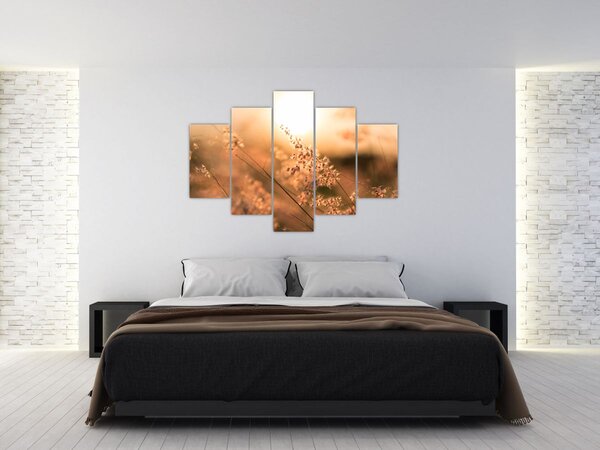 Kép - Fű a napon (150x105 cm)