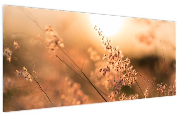 Kép - Fű a napon (120x50 cm)