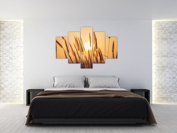 Kép - Füvek a napon (150x105 cm)