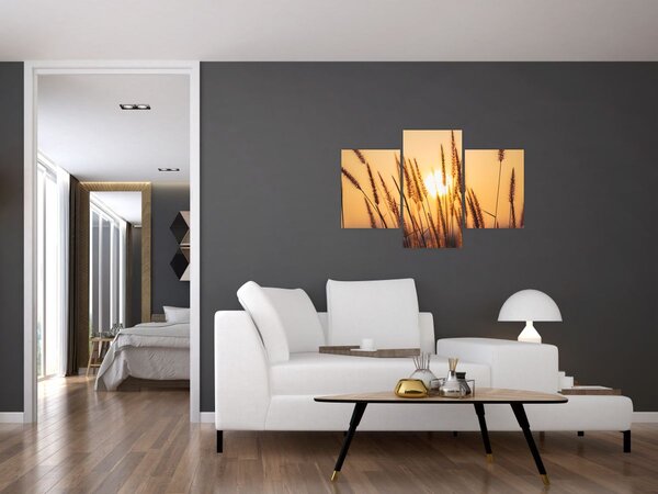 Kép - Füvek a napon (90x60 cm)