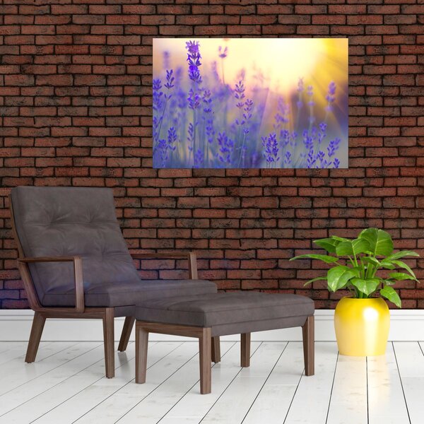 Kép - Levendula (90x60 cm)