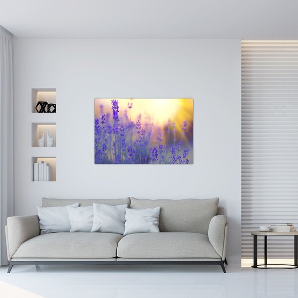 Kép - Levendula (90x60 cm)