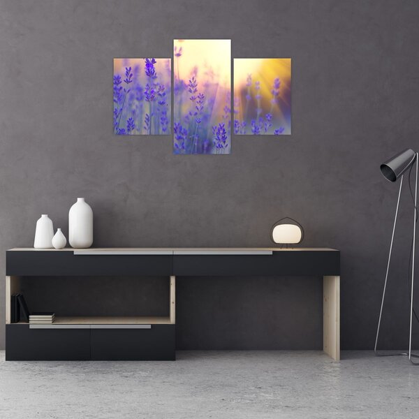 Kép - Levendula (90x60 cm)