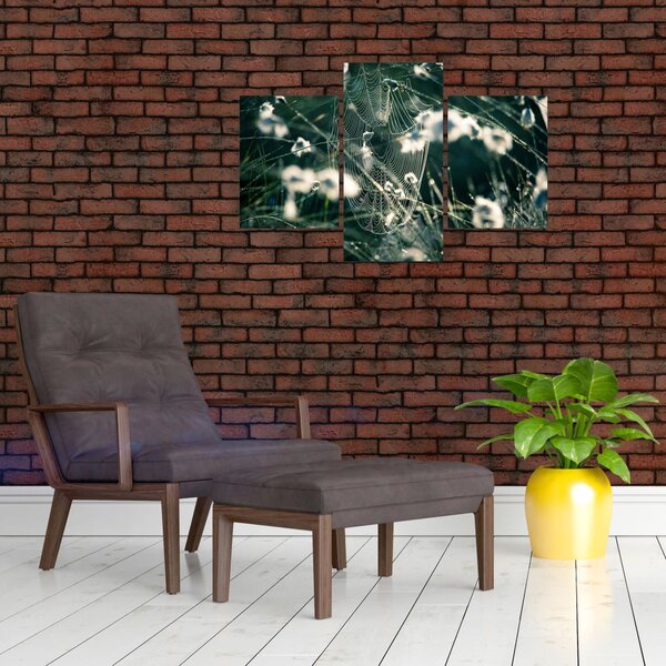Kép - Pókháló (90x60 cm)