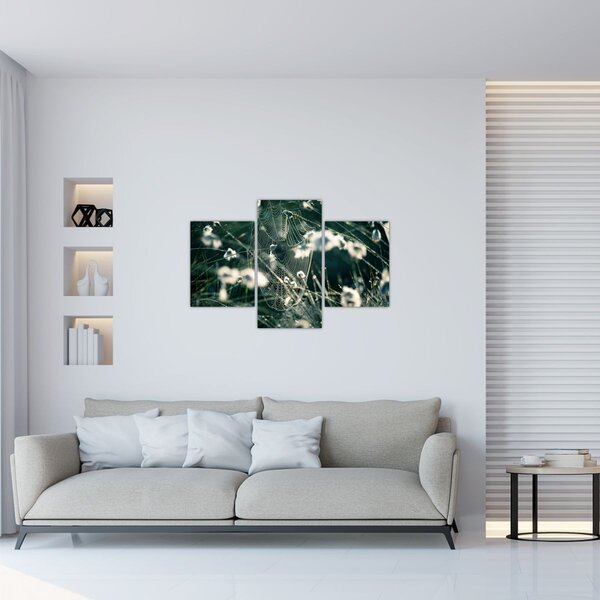 Kép - Pókháló (90x60 cm)