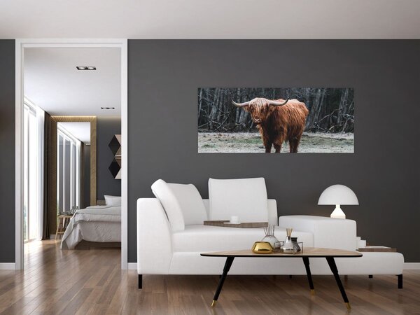 Kép - Skót tehén 2 (120x50 cm)