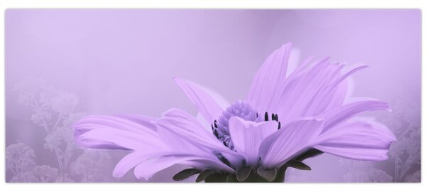 Kép - Ibolya virág (120x50 cm)