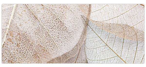 Kép - Bézs levelek (120x50 cm)